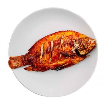 Grilled Fish Tilapia