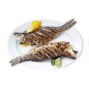 Grilled Fish Seabass