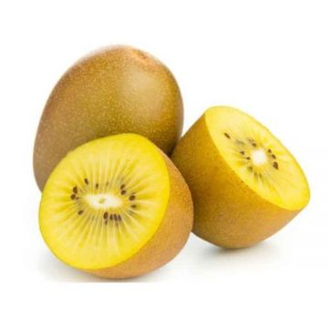 Kiwi Golden 400gm South Africa