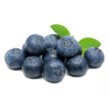 Blueberry 300gm Uae