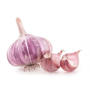 Garlic Purple 250gm Spain