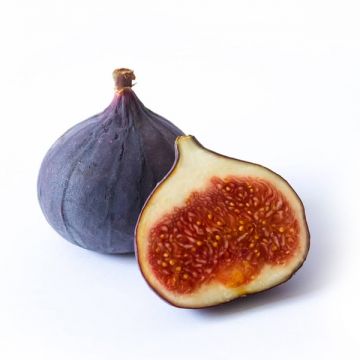 Fig 200gm Uae