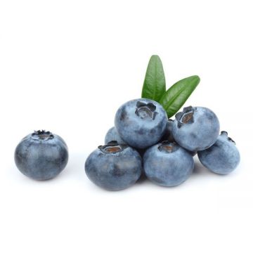 Blueberry 500gm Morocco