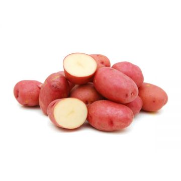 Potato Red Mini 500gm Australia