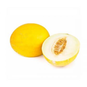 Sweet Melon India