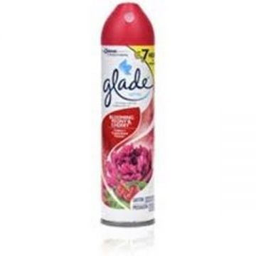 Glade Aerosol 5In1 Peony