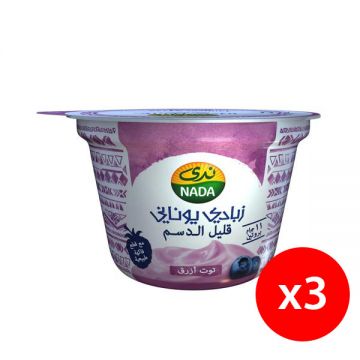 Nada Greek Yoghurt Blueberry Low Fat 2+1x160gm