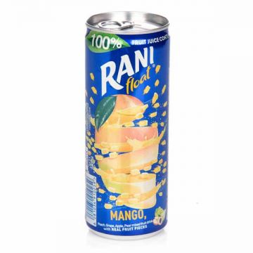 Rani Float Mango Can No Sugar