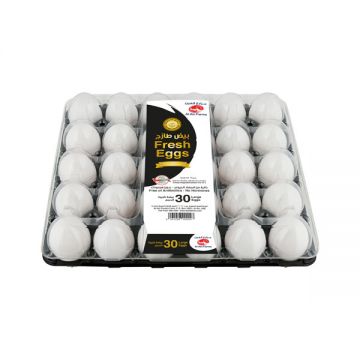 Al Ain Fresh Egg Large 30 Pcs