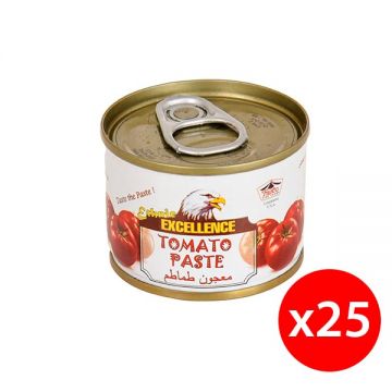 Excellence Ethnic Tomato Paste 25x70gm