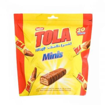 Nestle Tola Mini Chocolate 310gm