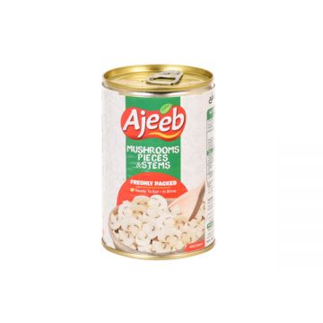 Ajeeb Canned Mushrooms Pieces & Stems 400gm