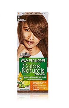 Garnier Hair Color Naturals No. 6.1