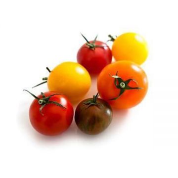 Tomato Cherry Mixed Vegberry 250gm Uae
