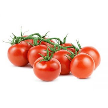 Tomato Cocktail Vegberry 350gm Uae