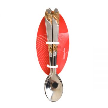 Pmt Tea Spoon 6pc