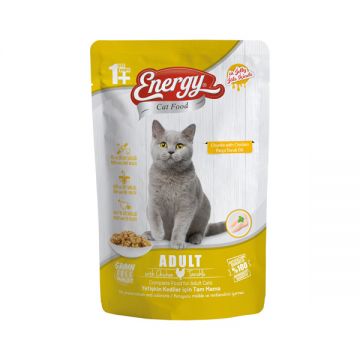 Energy Adult Wet Cat Food With Chicken 85gm