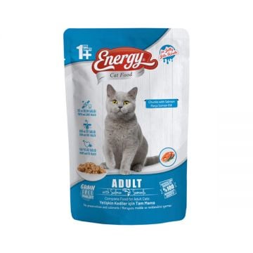 Energy Adult Wet Cat Food With Salmon 85gm