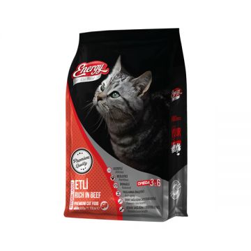 Energy Adult Cat Food With Beef 500gm