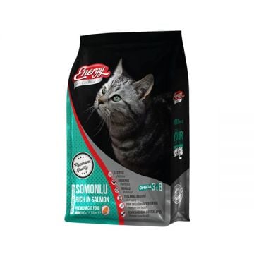 Energy Adult Cat Food With Salmon 500gm