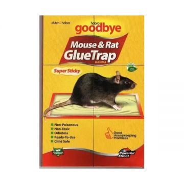 Habro Goodbye Glue Mouse Trap Ultra